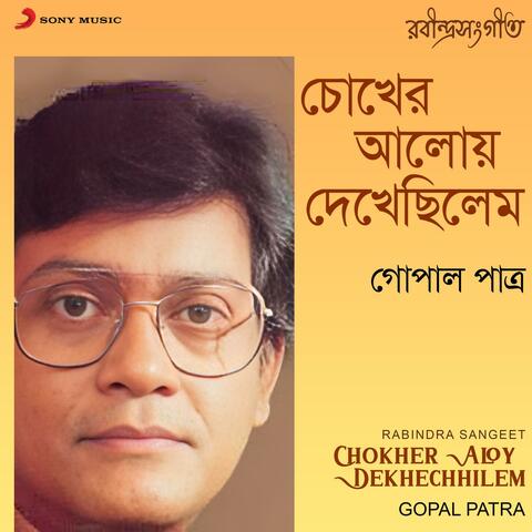 Chokher Aloy Dekhechhilem