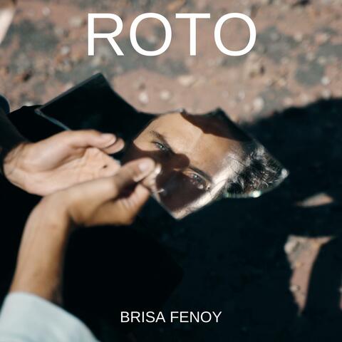 Brisa Fenoy
