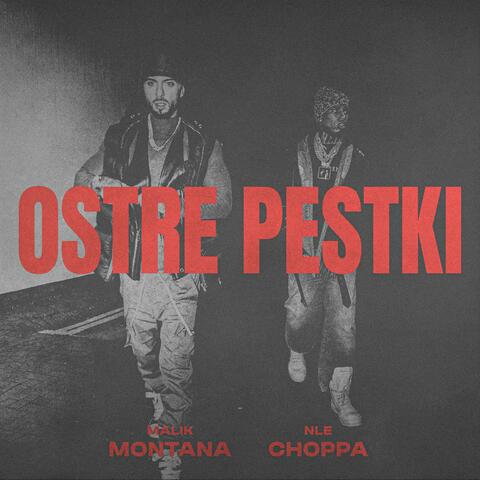 Ostre Pestki
