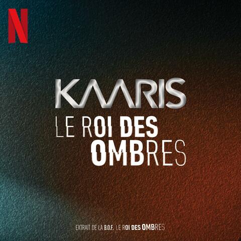Le roi des ombres