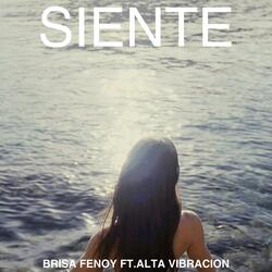 Siente