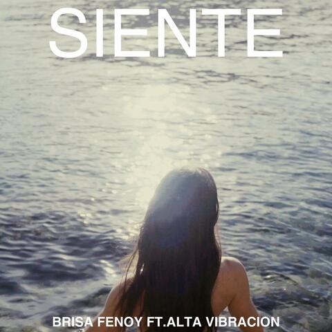 Siente