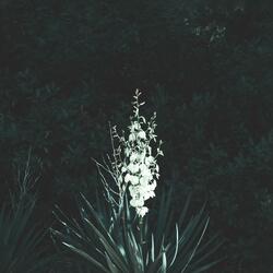 Respiro 3
