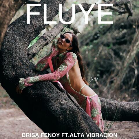 Fluye