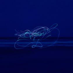 Firefly 蛍 ホタル