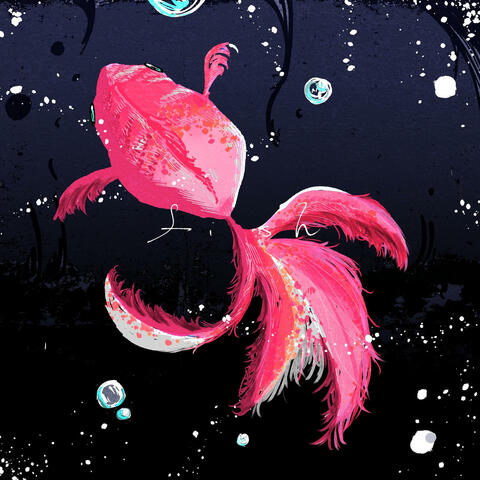 fish fish フィッシュ