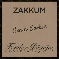 senin şarkın