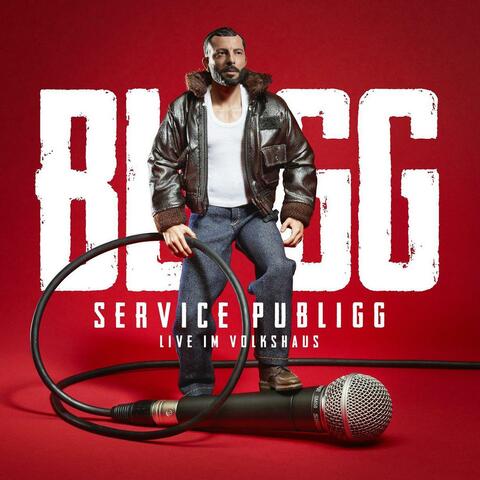 Service Publigg