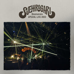 heartbeat- SUEHIROGARI live Version -