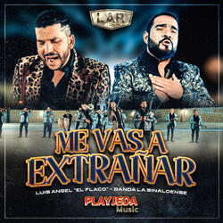 Me Vas a Extrañar