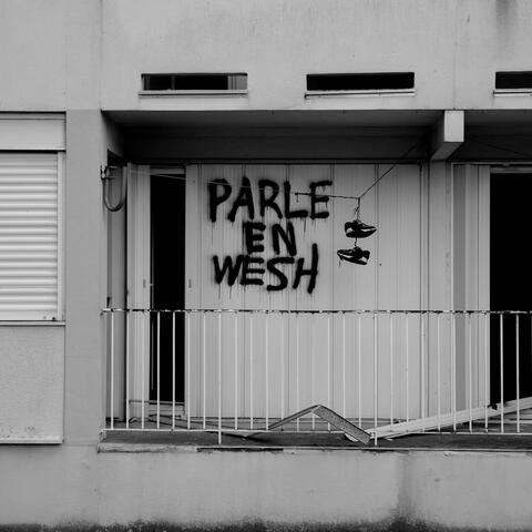 PARLE EN WSH