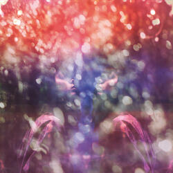 All Things Transient