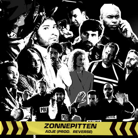 Zonnepitten