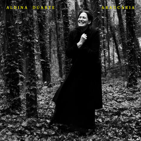 Araucária