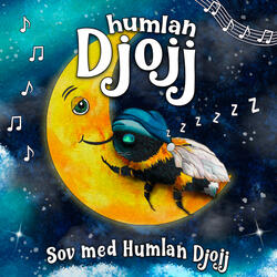 När solen gått ner