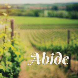Abide