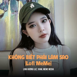 Không Biết Phải Làm Sao