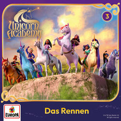3 - Das Rennen