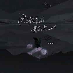 黑烏鴉怎配薔薇花