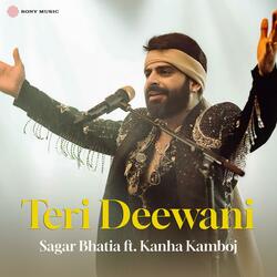 Teri Deewani