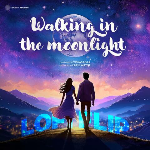 Walking in The Moonlight