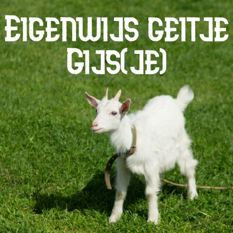 Eigenwijs geitje Gijs(je)