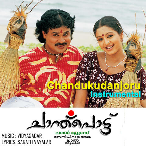 Chandukudanjoru