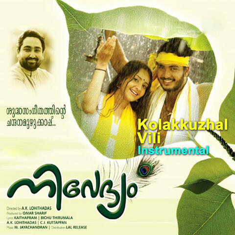 Kolakuzhal Vili