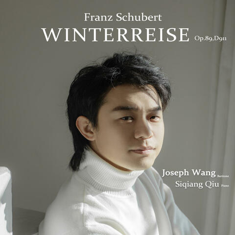Winterreise,Op.89,D911