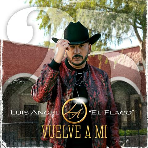 Vuelve a Mí