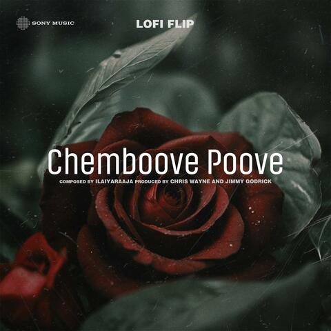 Chemboove Poove