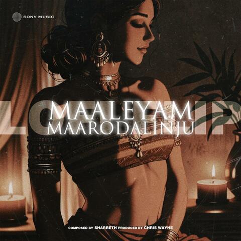 Maaleyam Maarodalinju