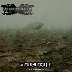 Sturmtrupp