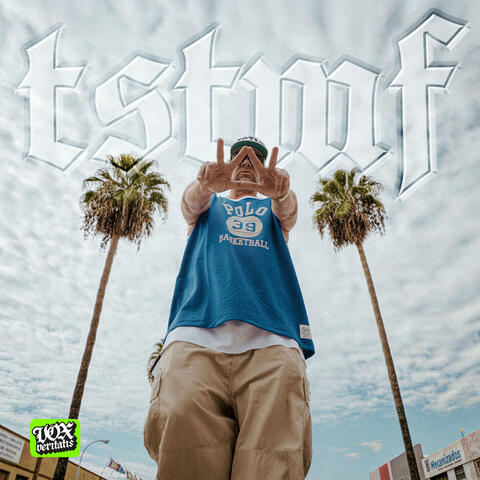 TSTMF