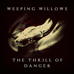 The Thrill of Danger