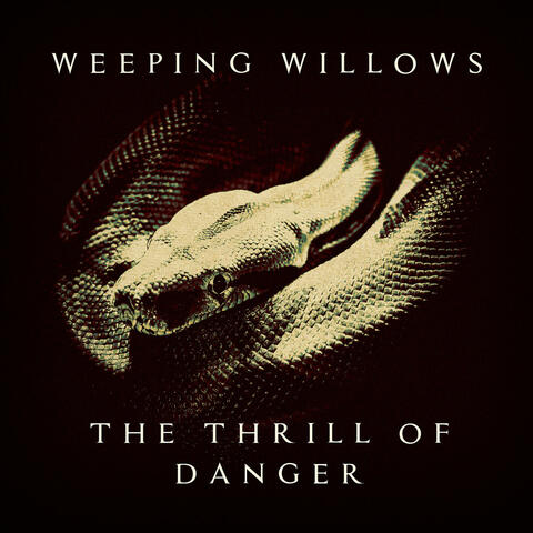 The Thrill of Danger