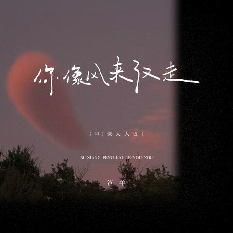 你像风来了又走（DJ豪大大版）