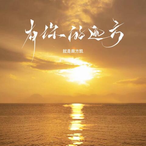 有你的远方（DJ沈乐版）