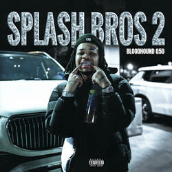 Splash Bros 2