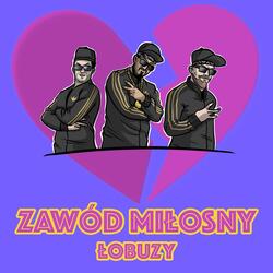 Zawód Miłosny