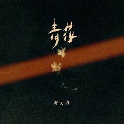 青花（遗憾无法说）