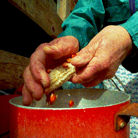 disperata gioventù