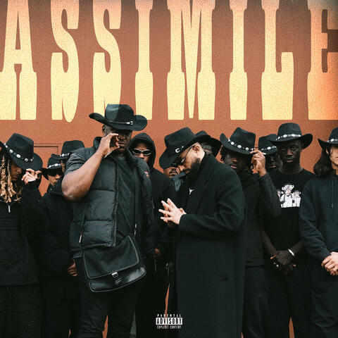 Assimile