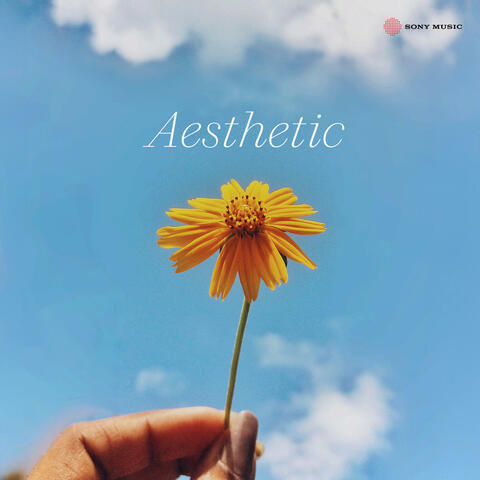 Aesthetic