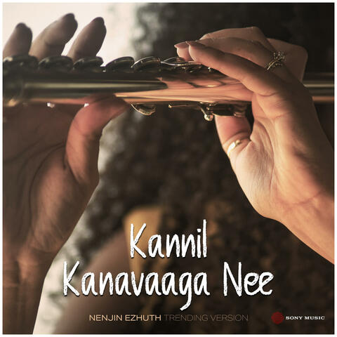 Kannil Kanavaaga Nee