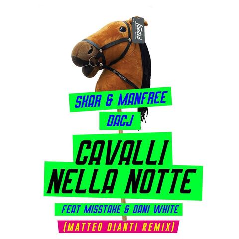 Cavalli Nella Notte