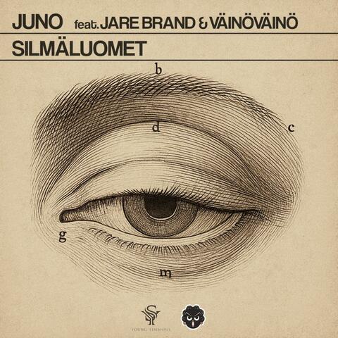 Silmäluomet