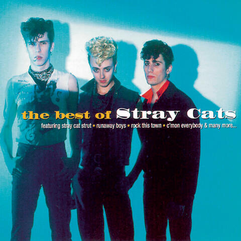 The Best Of Stray Cats