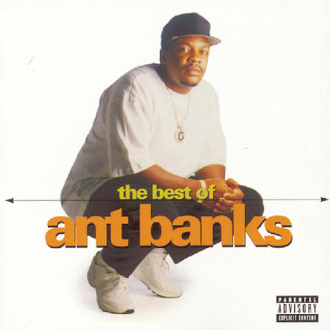 Ant Banks