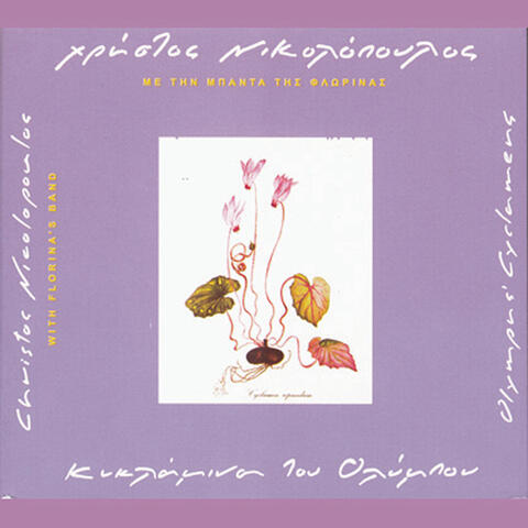 Kiklamina Tou Olimbou